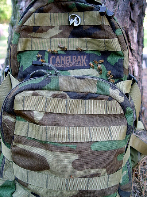 Camelbak H.A.W.G.