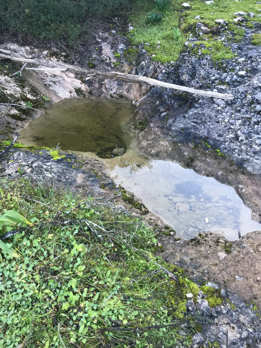 Water Treatment During Summer Campouts