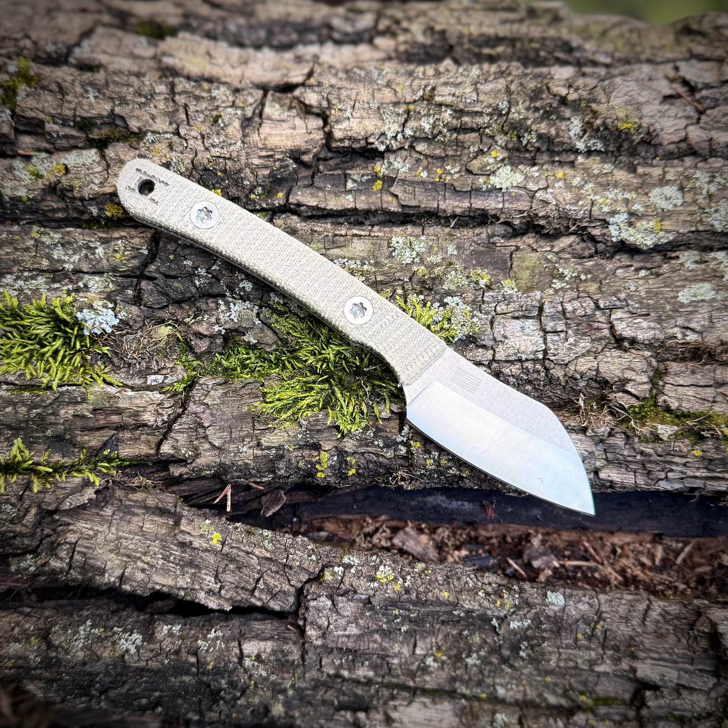 Hellbender Blade Co Newt