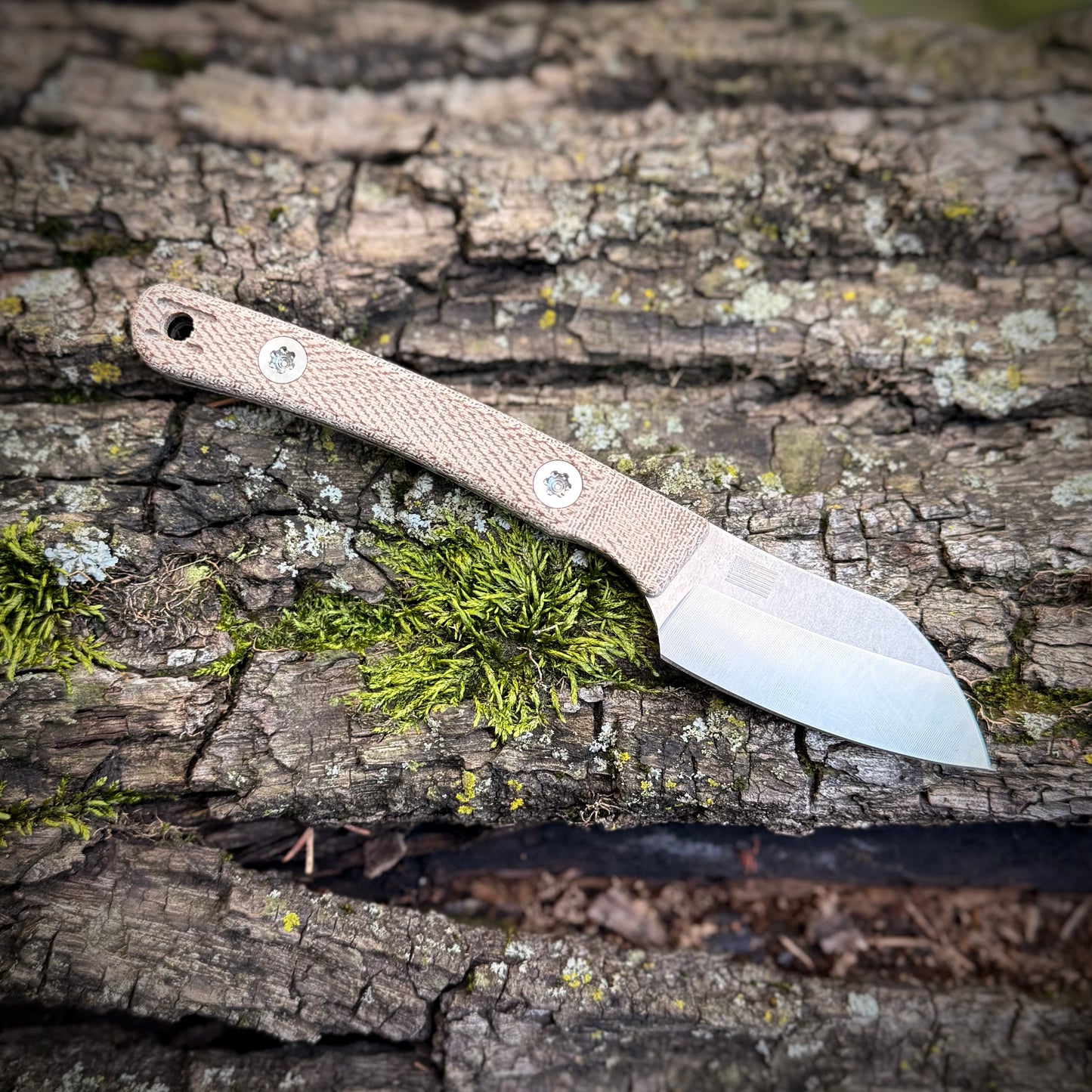 Hellbender Blade Co Newt
